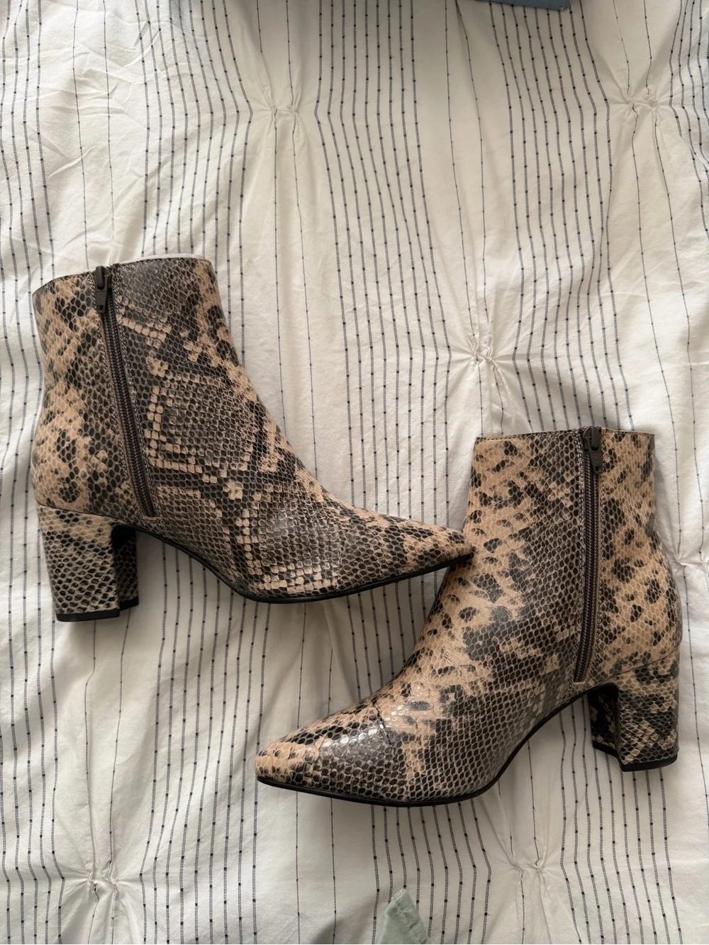 Seychelles Taupe Snake-Print Ankle Booties